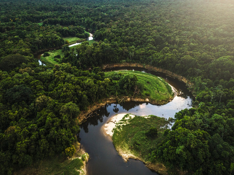 Day 12:  Amazon Rainforest - Manaus -11