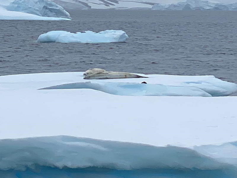 Day 4: Wulaia Bay / Cape Horn -3