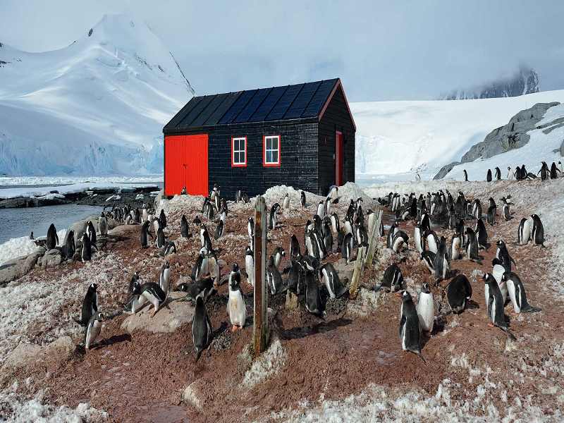 Port Lockroy