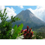 Costa Rica 2022: Beach & Mountain break