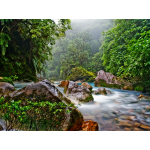 Costa Rica 2023: Nature lovers