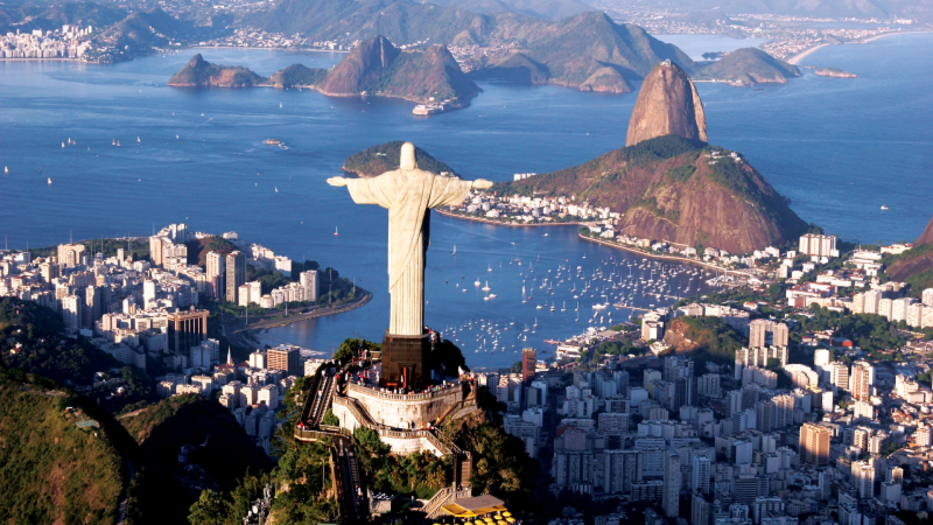 Exotic Brazil 2024