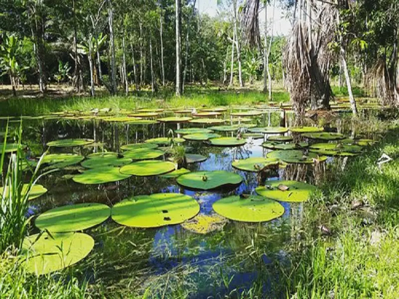in the photo: Puerto Maldonado 