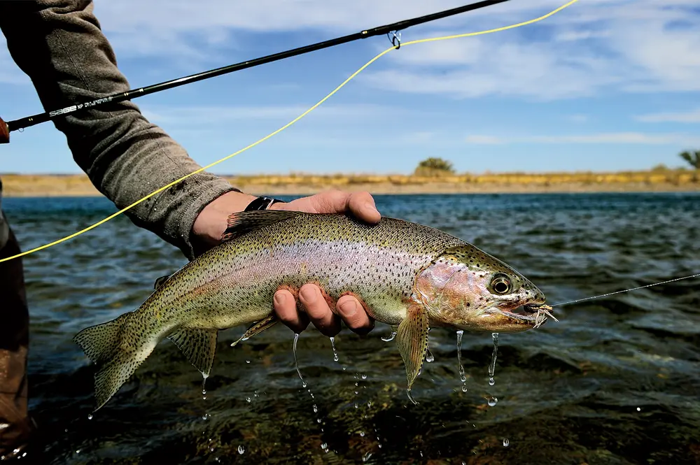 Fishing in Costa Rica