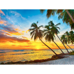 Caribbean Islands for Beach Vacations