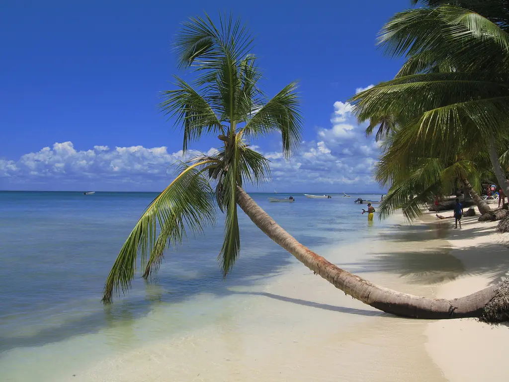 In the photo: beaches of the Dominican Republic