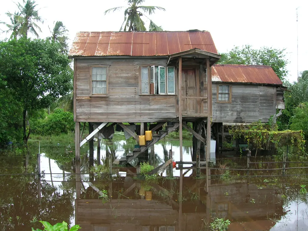 In the photo: ecotourism in Guyana