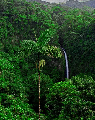 In the photo: La Fortuna and Arenal Volcano in Costa Rica