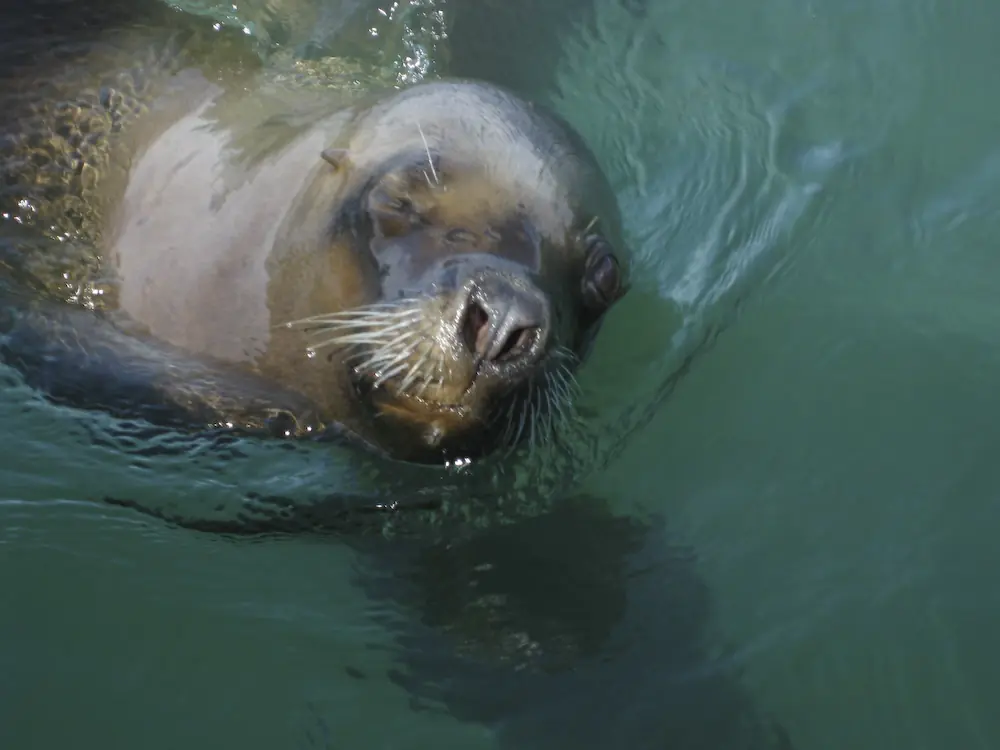 in photo:  Puerto Madryn, Argentina 