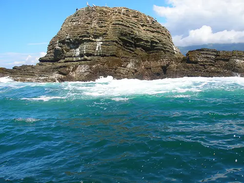 in the photo: eco tours to   Peninsula Osa  in Costa Rica