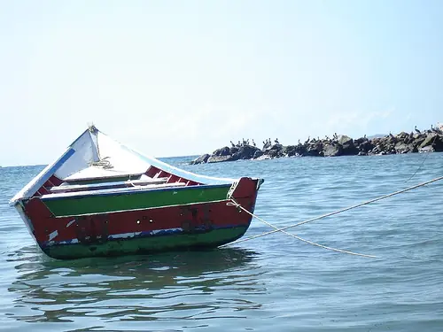 In the photo: Orinoco River Delta, Venezuela