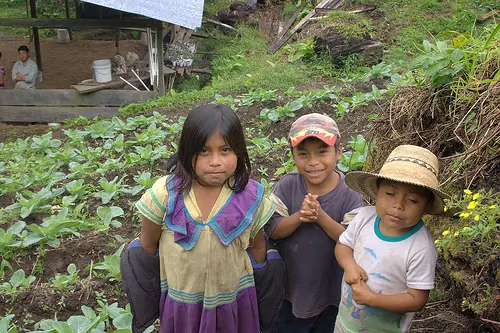 In the photo: the Emberа Indians in Panama
