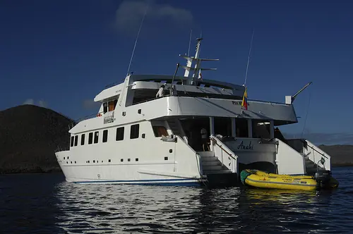 In the photo: cruises in Antarctica