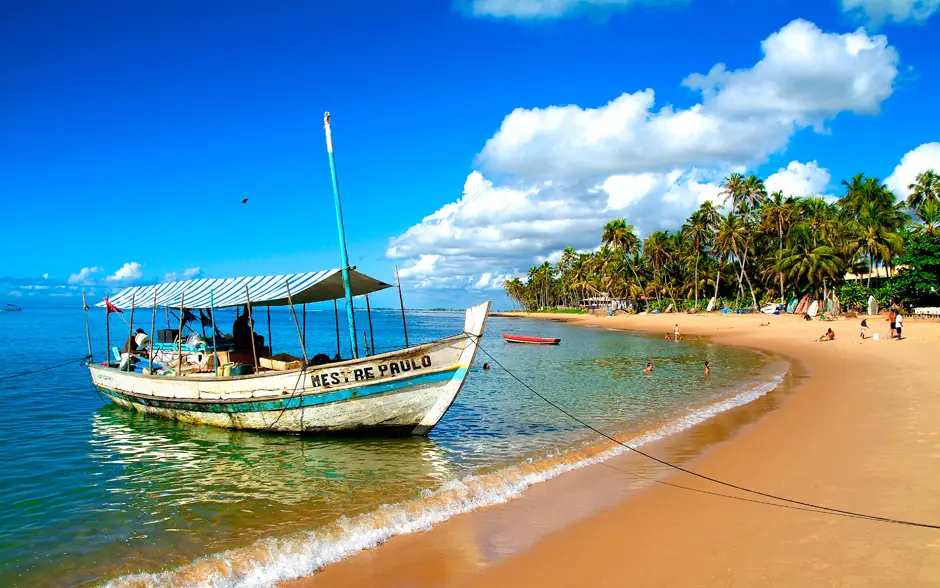 in photo: Sea resort of Praia do Forte in Brazil 