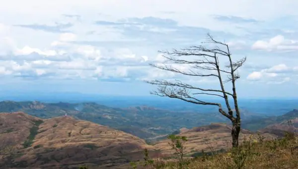 In the photo: Chagres Nature Reserve in Panama