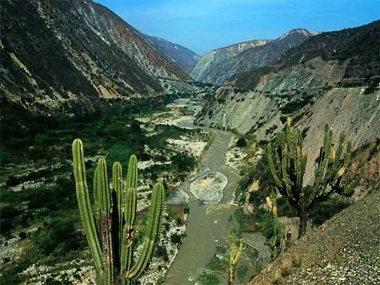 in the photo: Merida in Venezuela