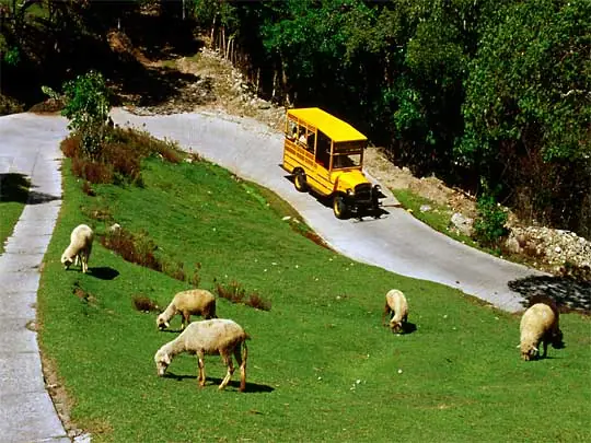 in the photo: Merida in Venezuela