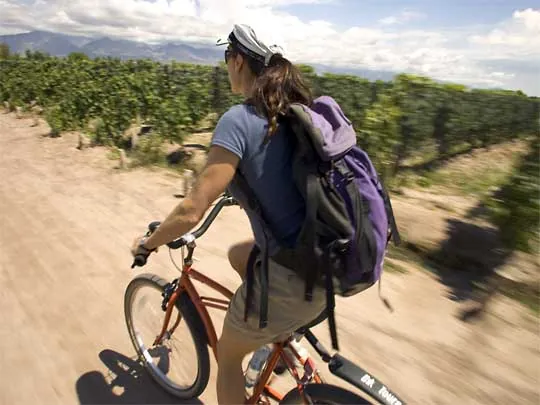 in photo: wine region and city of Mendoza in Argentina 