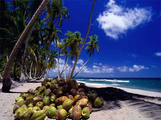 In the photo: Caribbean beach vacation in Honduras