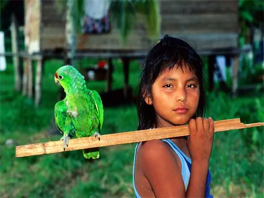 In the photo: Bocas del Toro Archipelago in Panama