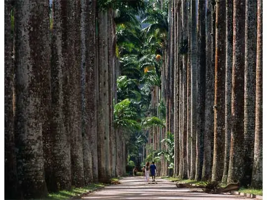 in photo: the tourist capital of Brazil, the city of Rio de Janeiro