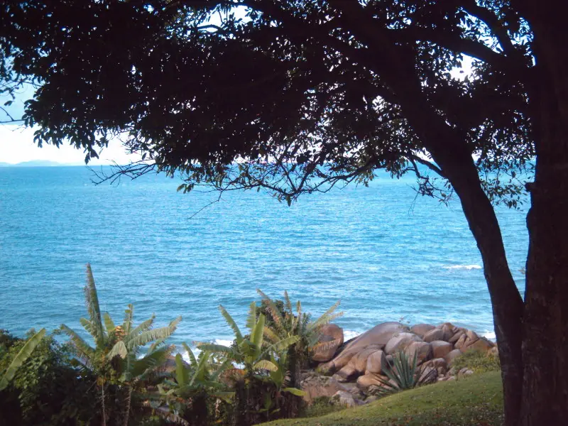 in photo: Fortaleza, the beach resort of Brazil