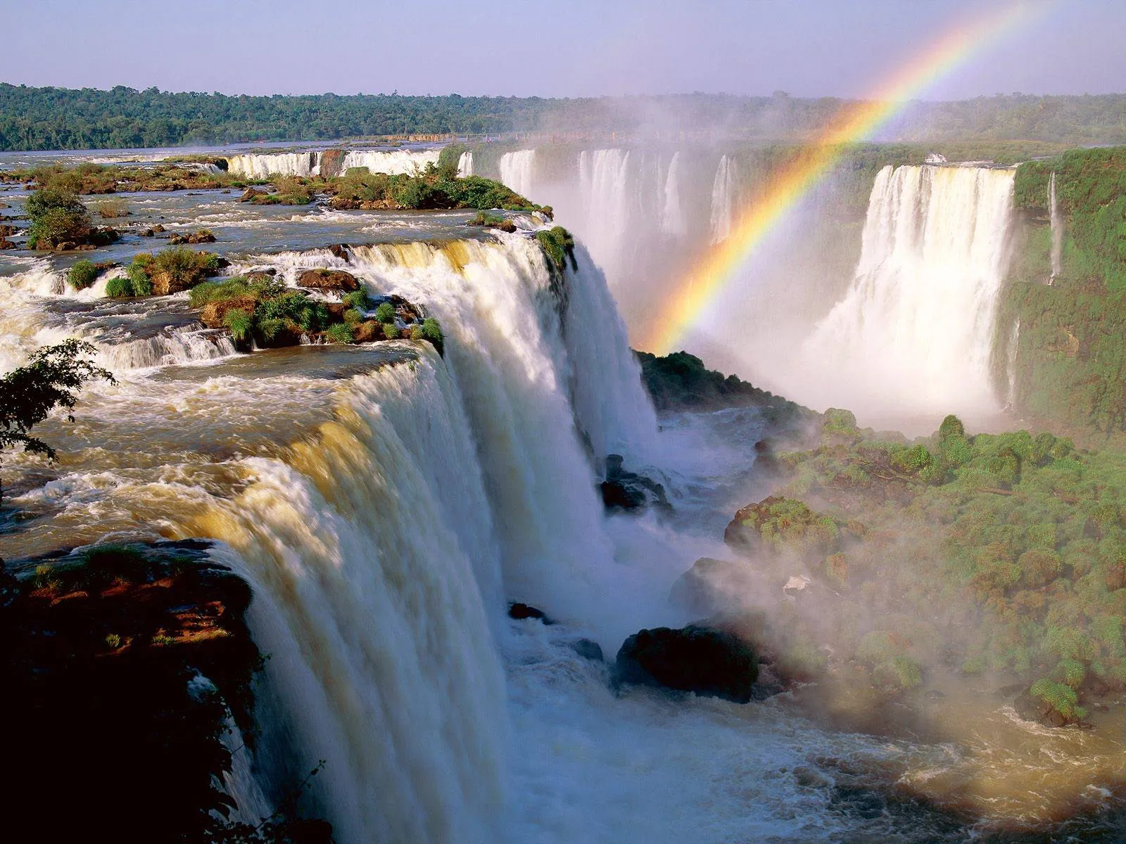in photo: Bird park in Foz do Iguaçu, Brazil 
