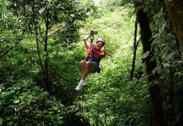 In the photo: zip line, canopi tour in the Monteverde cloud forests in Costa Rica