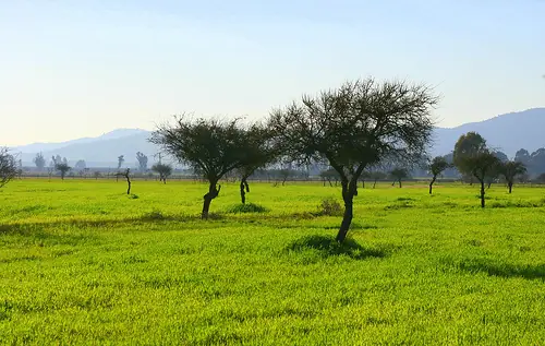 In the photo: ranches and steppes in Chile