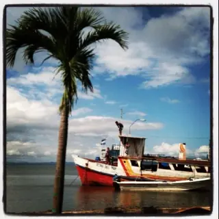 in the photo:  Isla de Ometepe in Nicaragua