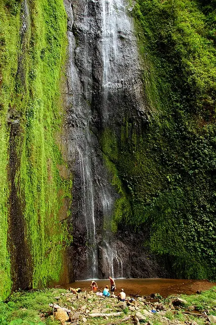 in the photo: Isla de Ometepe in Nicaragua
