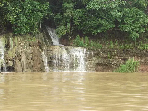 In the photo: El Nispero Zoo in Panama