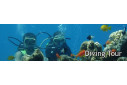 Diving Vacations