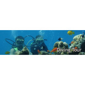 Diving Vacations (3)