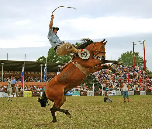 in the photo: a ranch in Uruguay