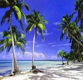 in photo: the island of Ambergris Caye, Belize