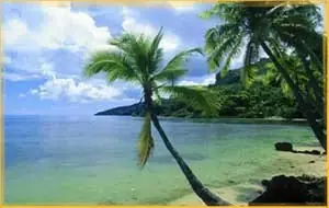 In the photo: beach holidays in Panama