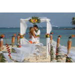 Tropical wedding ceremony on a wonderful island in Rio de Janeiro