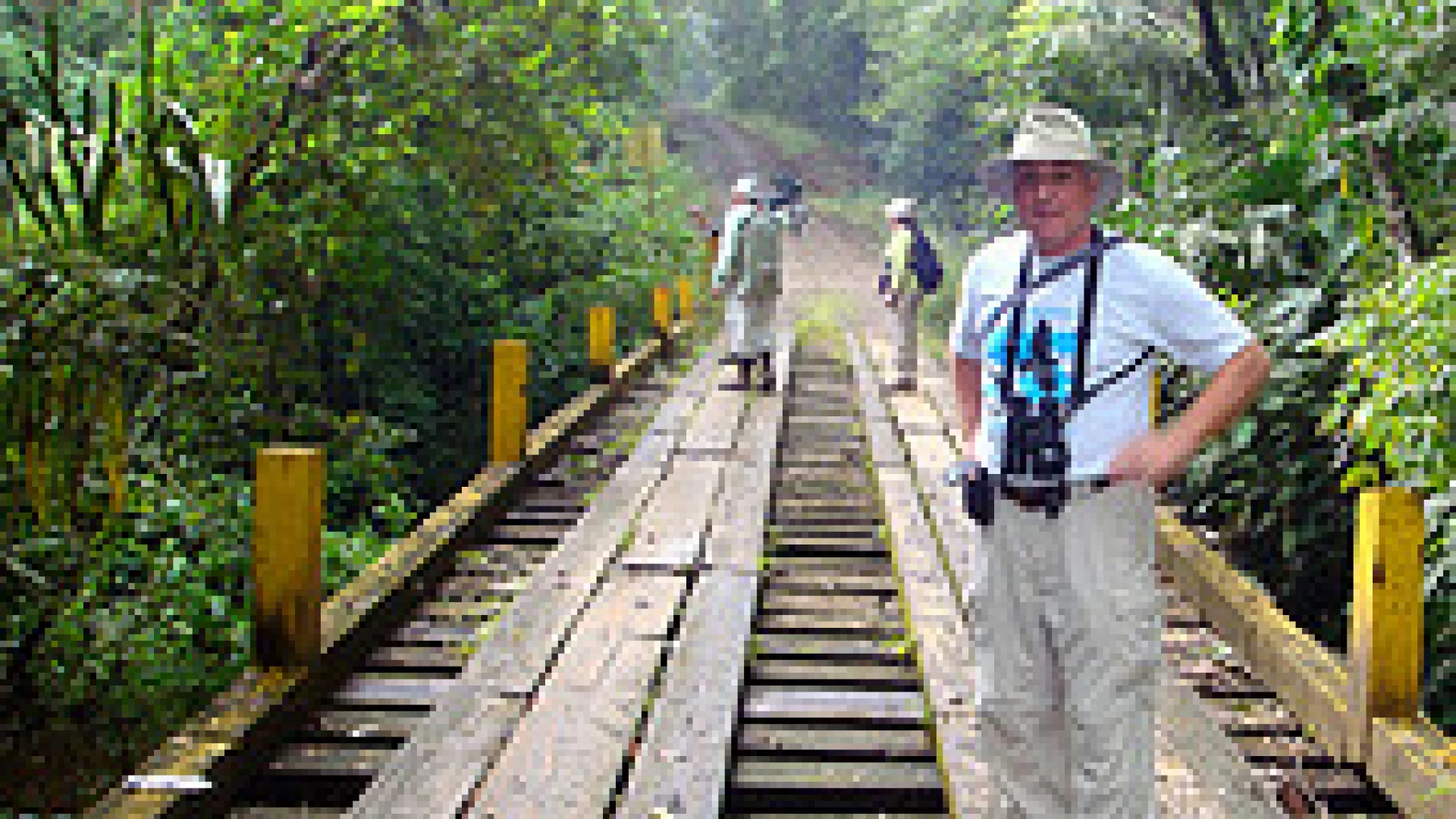 Birding Pipeline Road