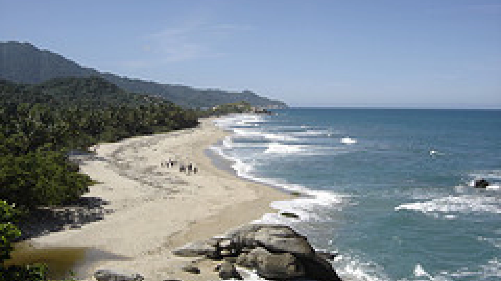 Beach of Cañaveral