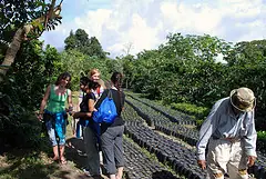 Coffee Tour -402
