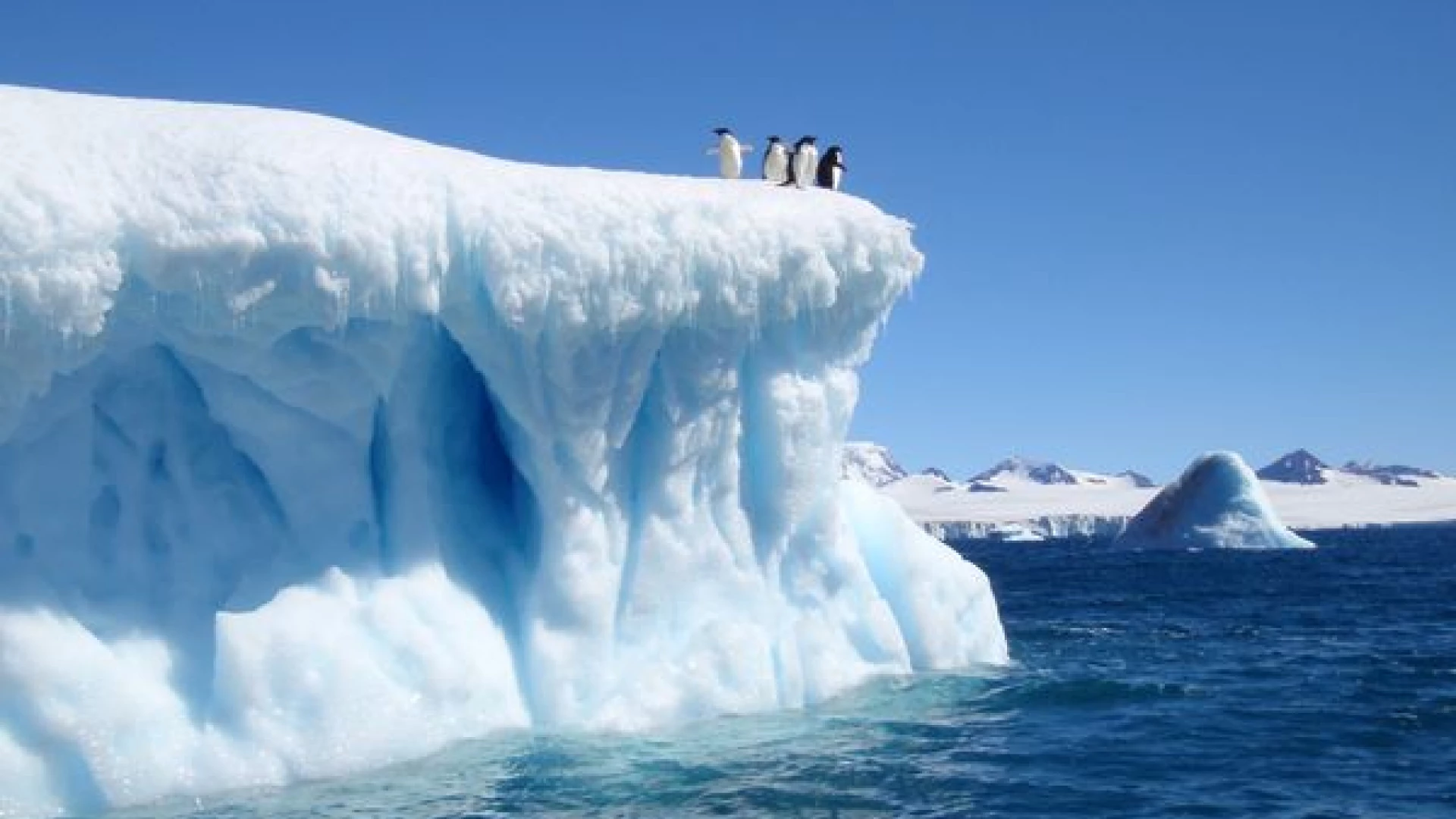 Antarctica Full Day Program 