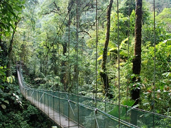 Villa Lapas hanging bridges