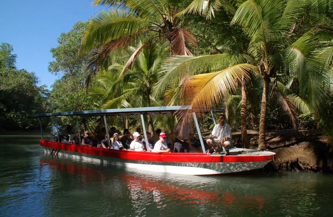 Mangrove Tour -2076