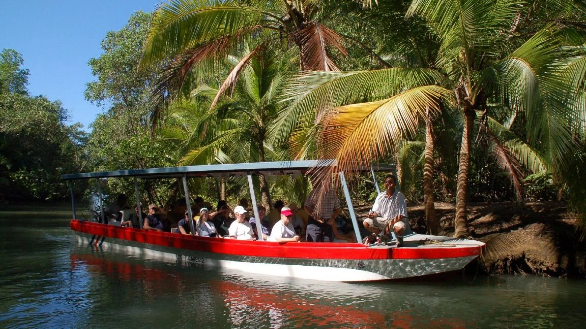 Mangrove Tour