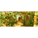 Belize Botanical Gardens