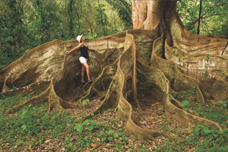 Carara National Park -2051