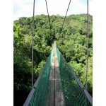 Villa Lapas hanging bridges