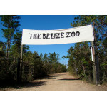 Belize Zoo Tour