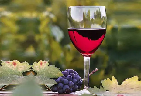 Argentinian wine 